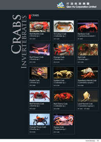 qian hu catalog inside-79.jpg